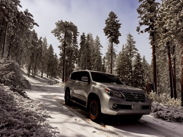 The GX460 on a snowy forest road